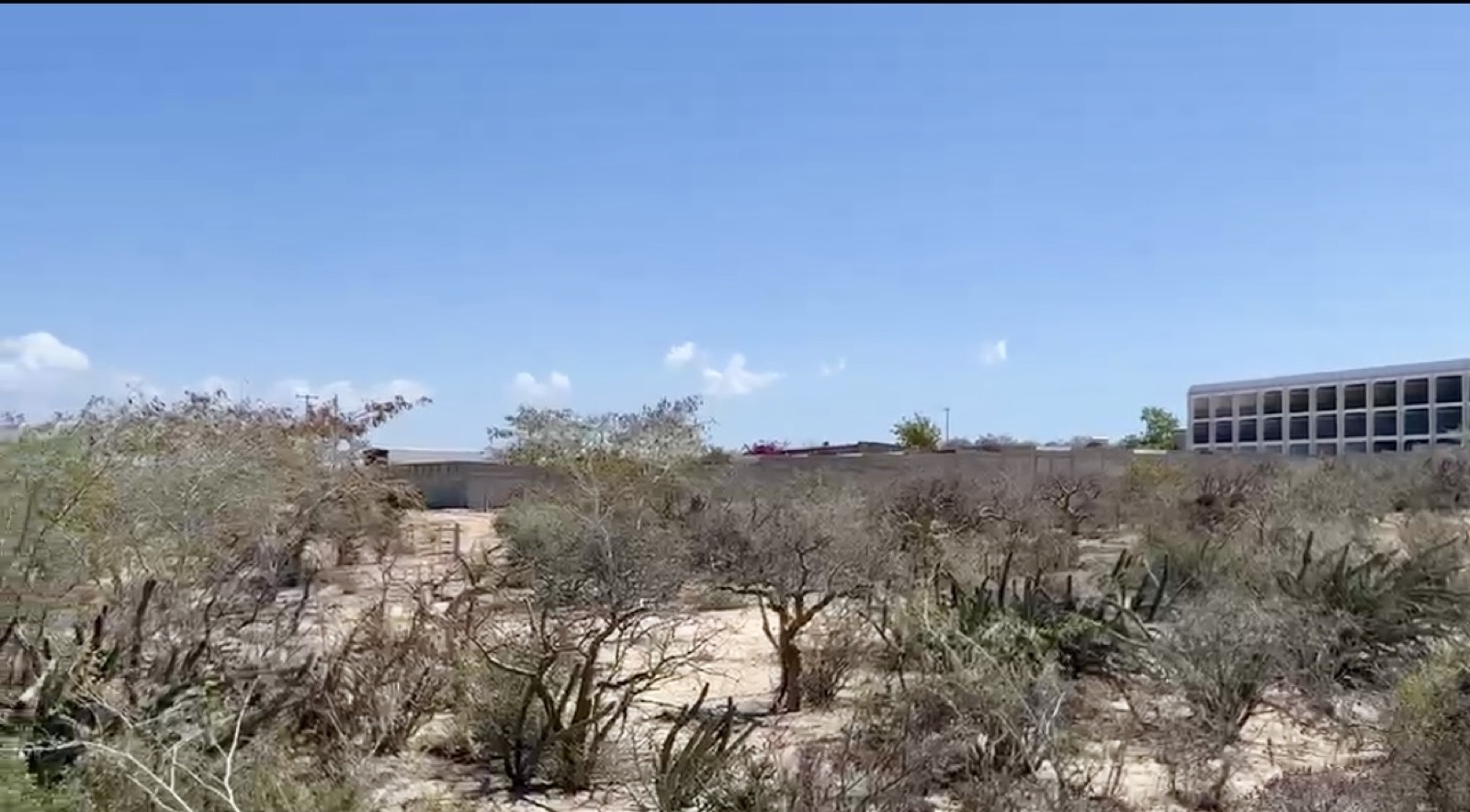 El Sargento IV — La Paz, BCS