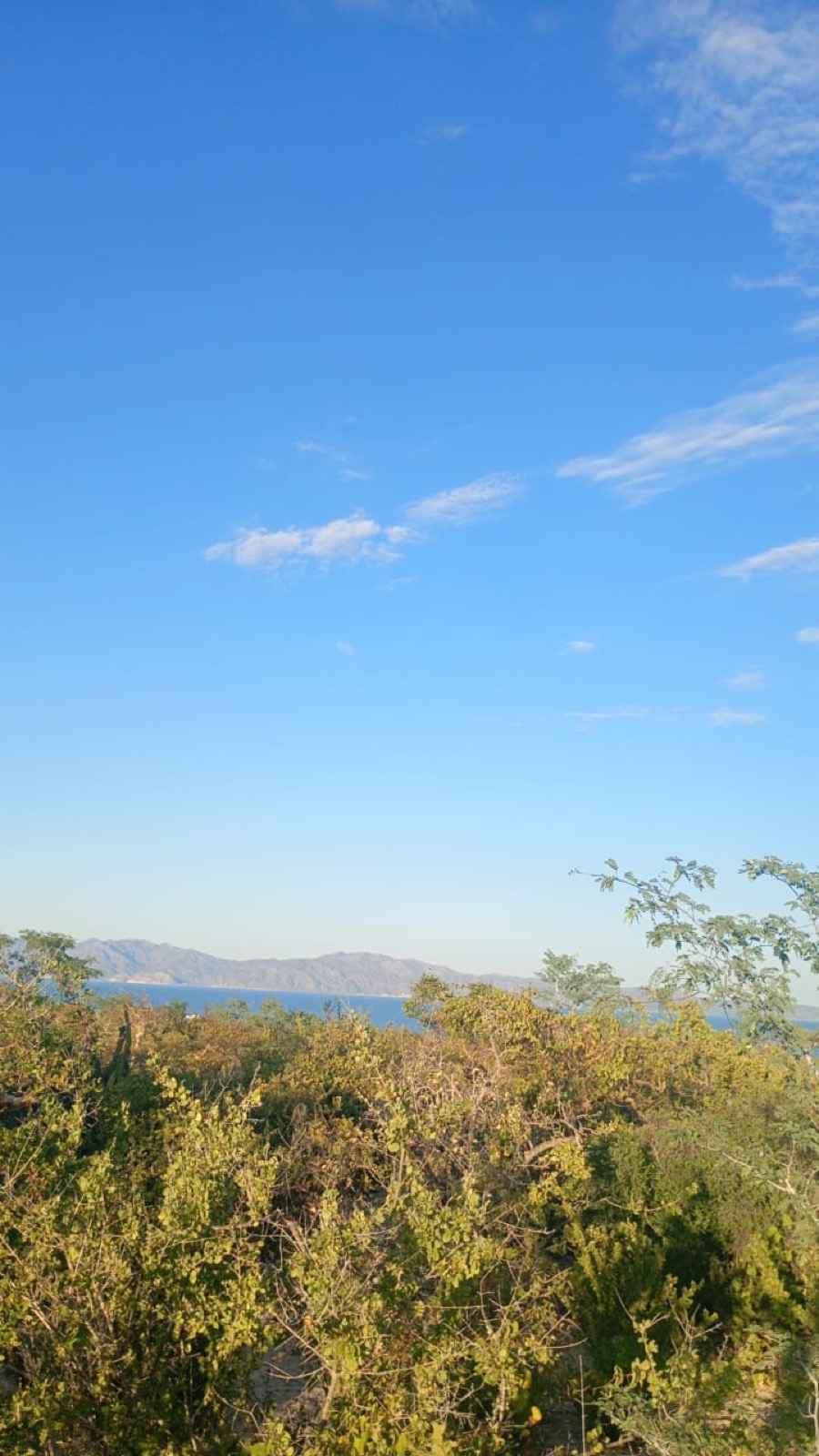 El Sargento VI — La Paz, BCS