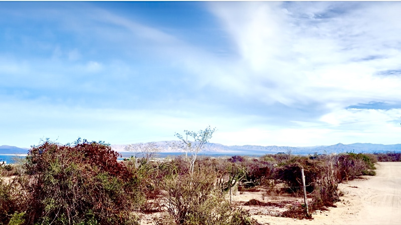 El Sargento VII — La Paz, BCS