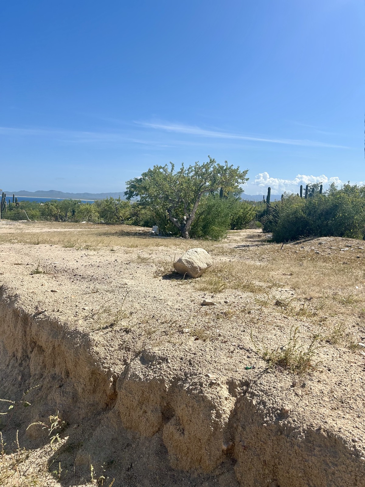 El Sargento X — La Paz, BCS