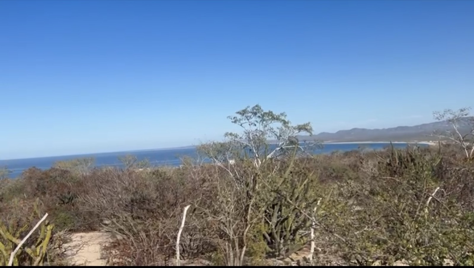 El Sargento VIII — La Paz, BCS
